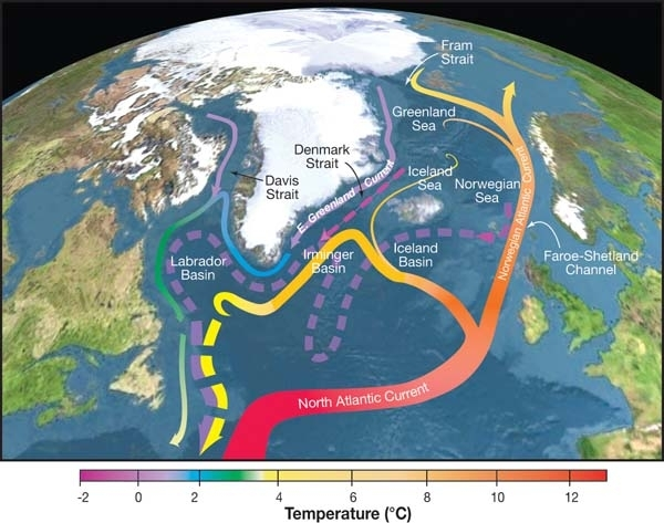 Illustration of the Gulf Stream.